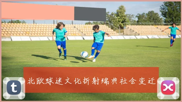 北欧球迷文化折射瑞典社会变迁