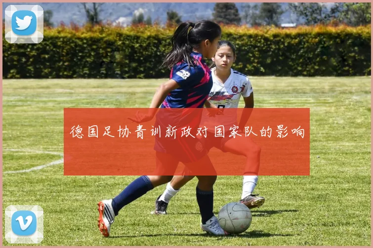 德国足协青训新政对国家队的影响