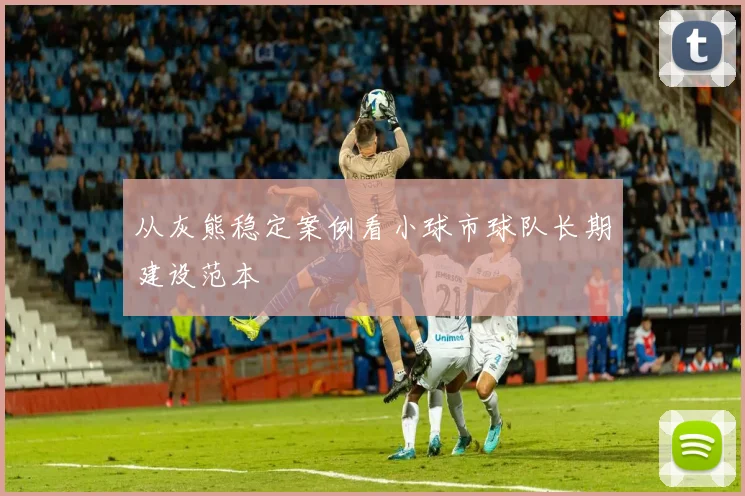 从灰熊稳定案例看小球市球队长期建设范本